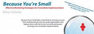 Promotional banner for the book "because you're small" by Ebony Grimsley, featuring a blue background with a red figure inside a magnifying glass and tech-themed text detailing book availability and a brief book summary.