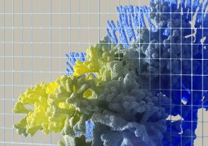 Multicolored abstract coral-like formations behind a grid pattern on a neutral background.